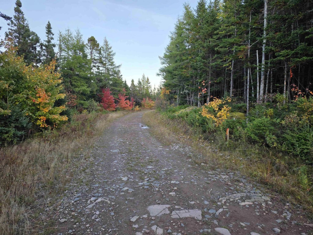 Land 104 Highway, River Bourgeois