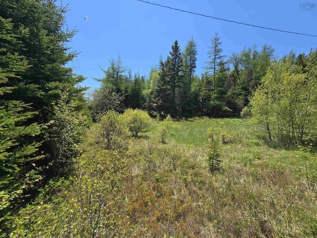 17987 316 Highway, Country Harbour