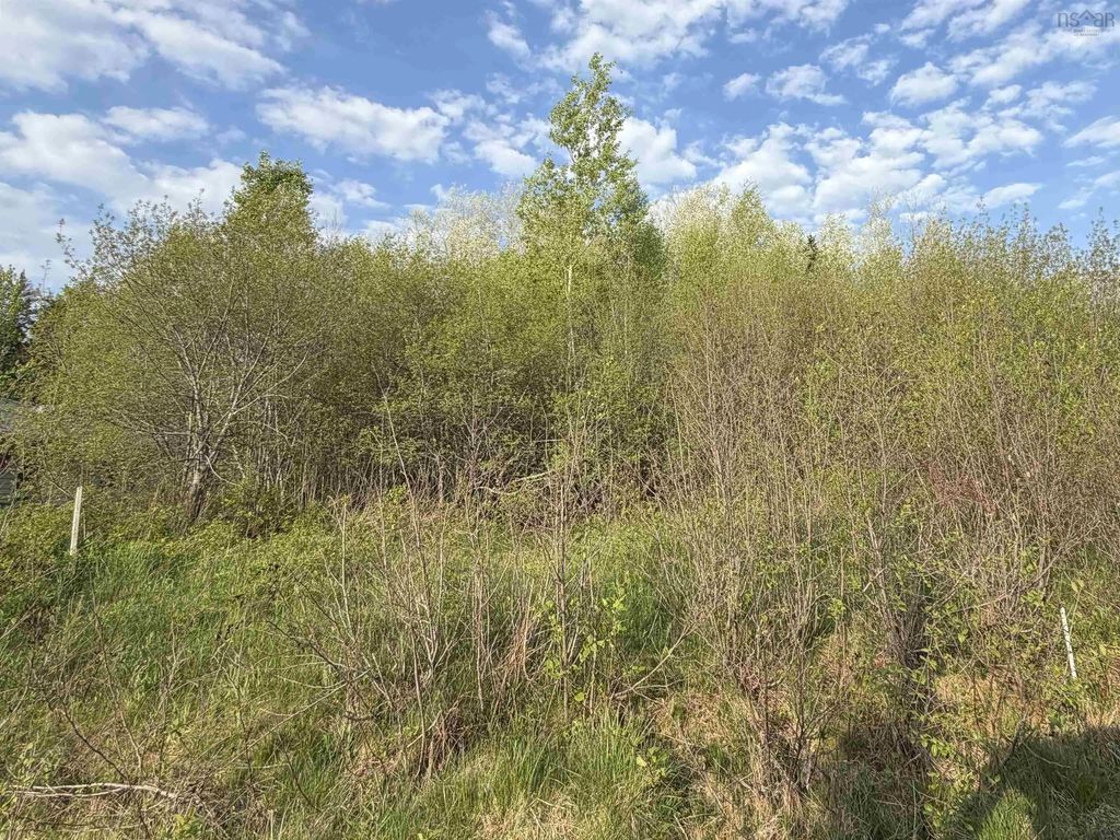 Lot 19 Belair Drive, Conway