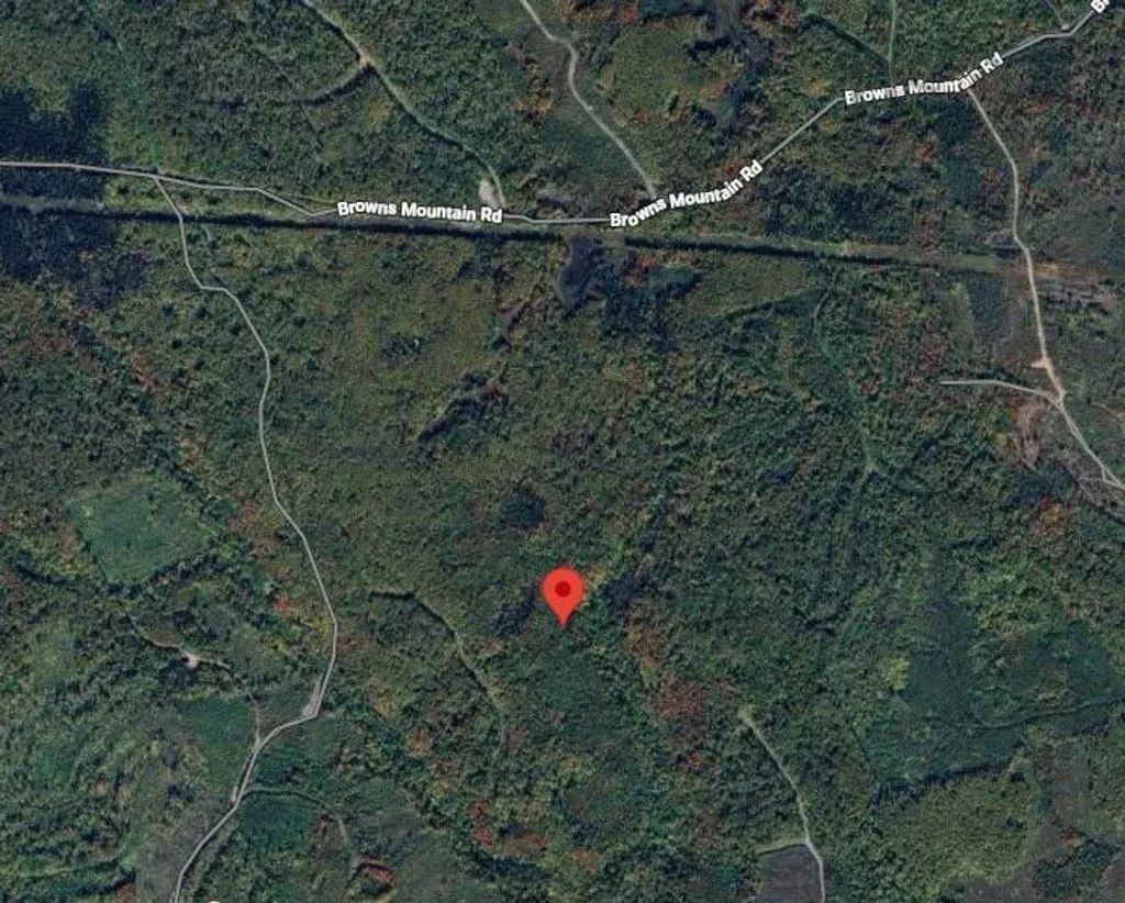 Browns Mountain Road, Browns Mountain, Browns Mountain