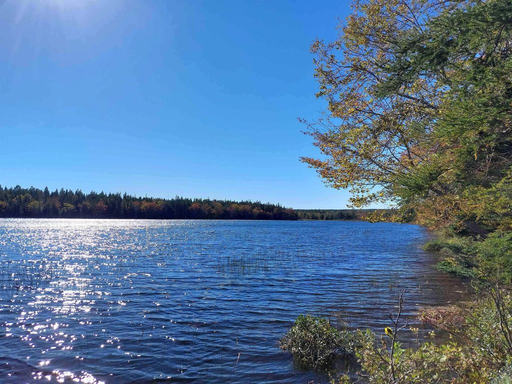 Lot 98-7c Gabe Macisaac, Salem Road, Loch Lomond