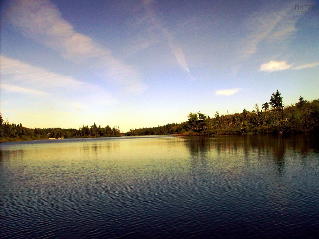 45 Joanne Langford Dr, French Road