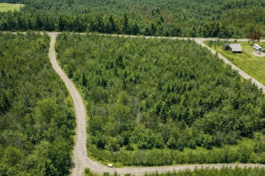 Lot Dunn Road, Bear River East