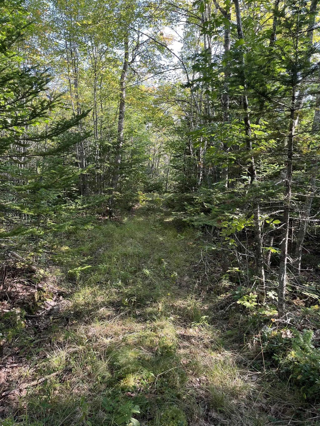 Lot Highway 10, Dalhousie