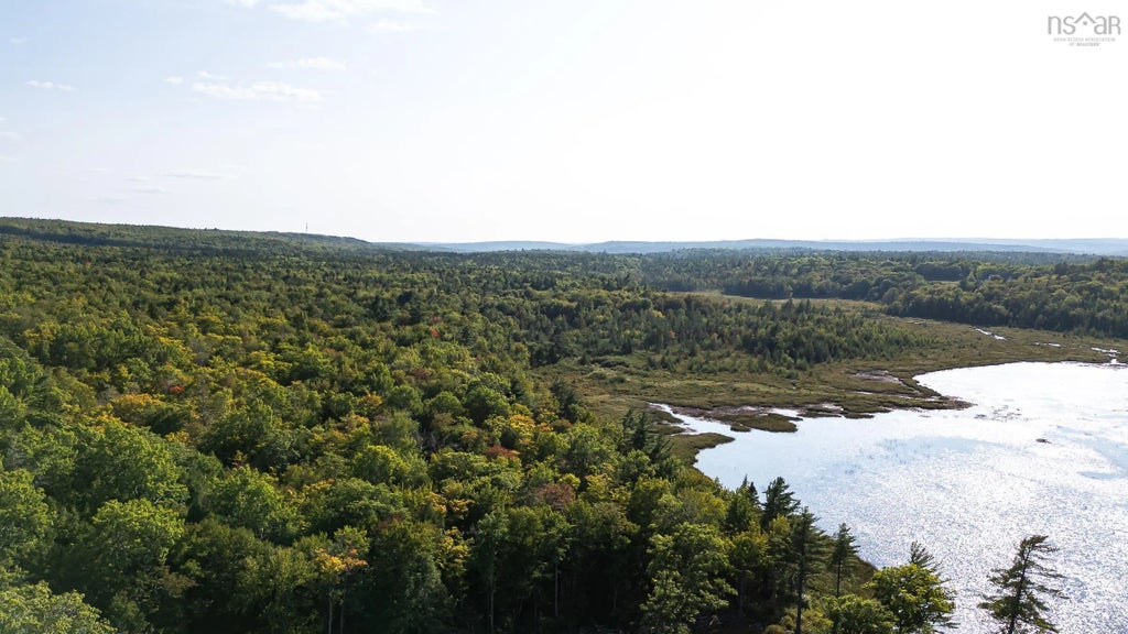 Florence Lane, Wellington