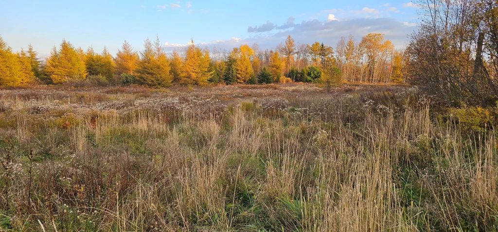 7888 Highway 354, North Noel Road
