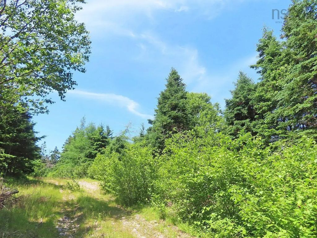 20 Acres Upper Grand Mira Road, Upper Grand Mira