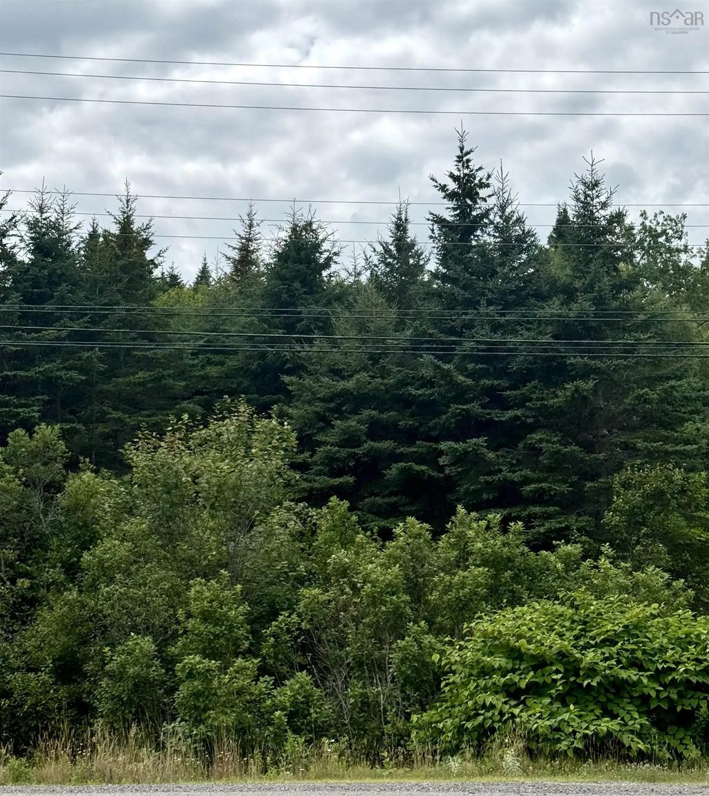 496 Highway 4, Folly Lake