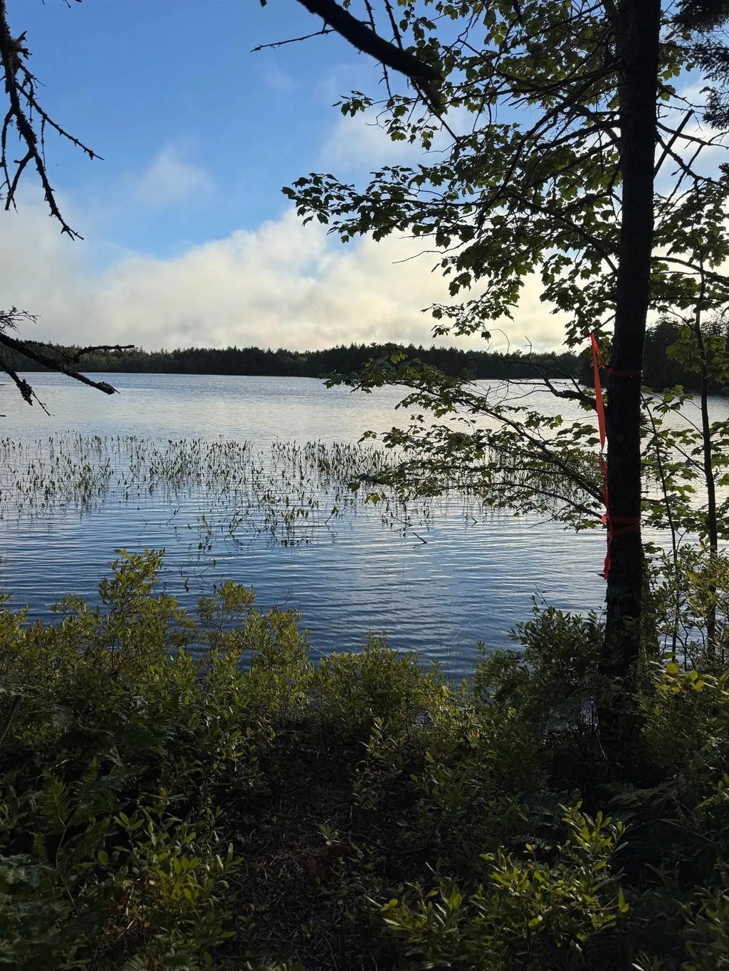 Boscobel Road Road, New Russell