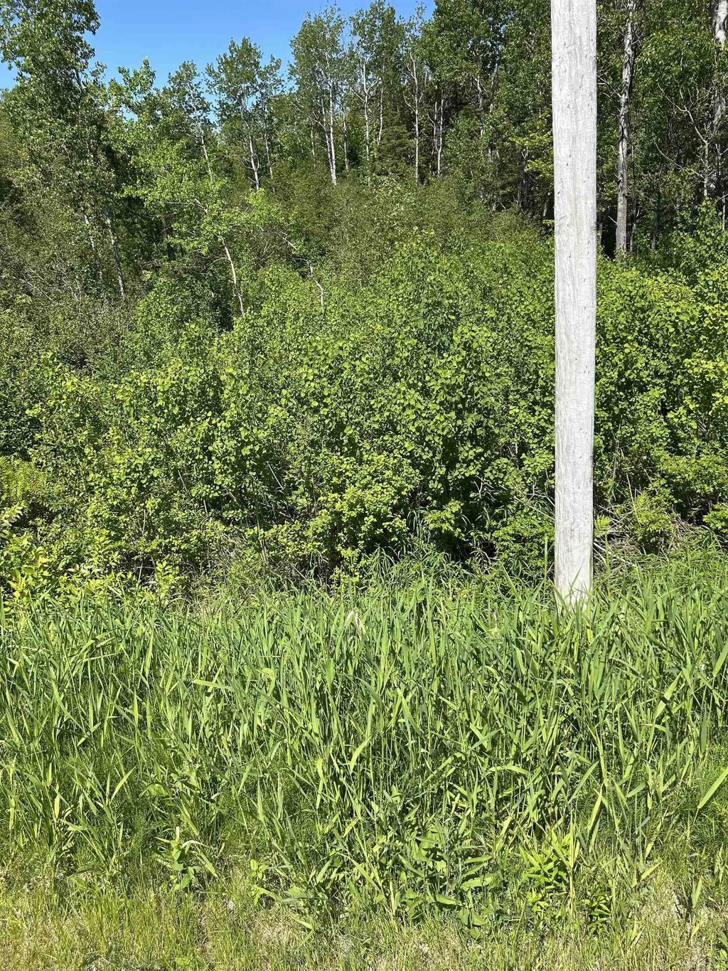 Lot 2 Stewood Drive, Sydney River