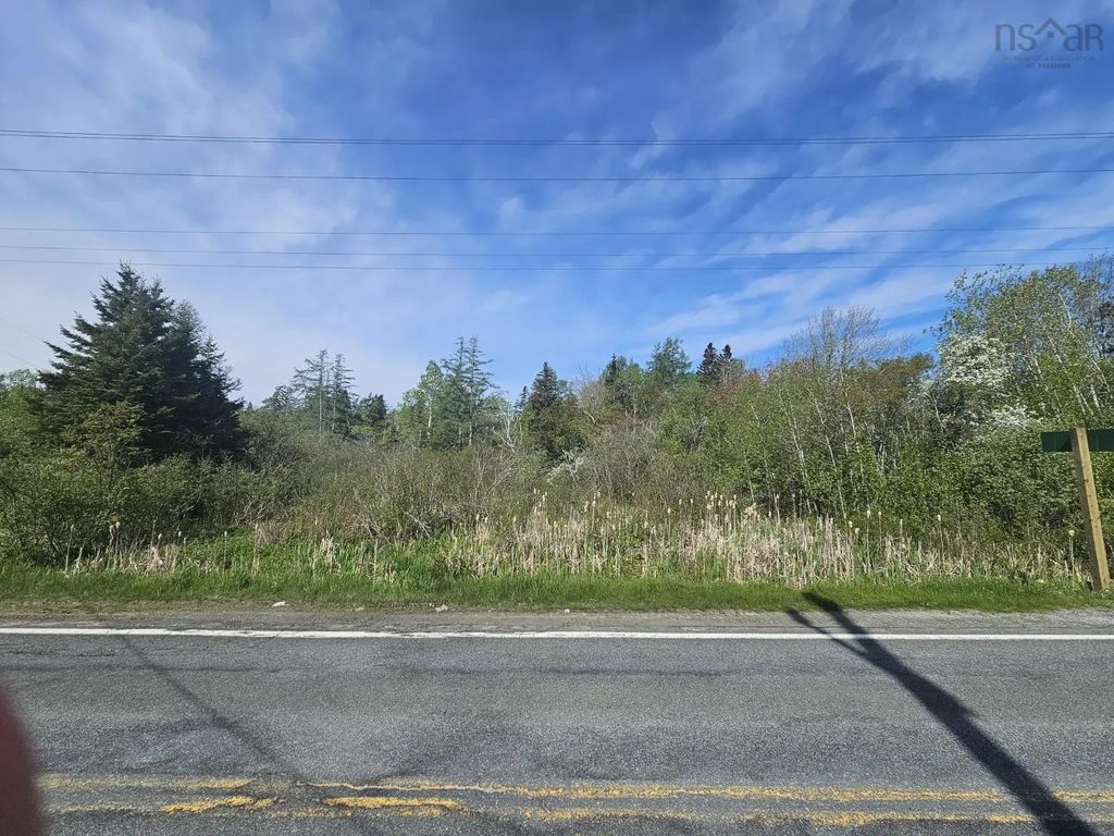 305 Highway, Balls Creek