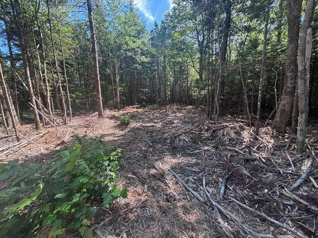 11a Nicholas Drive, Hammonds Plains