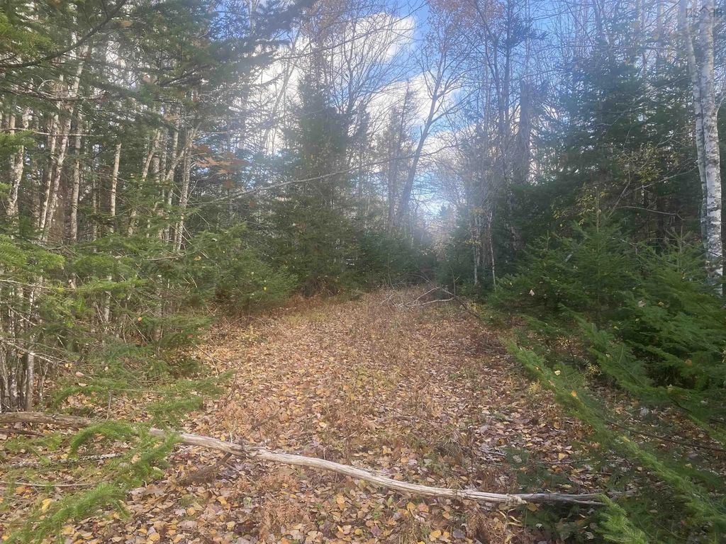Lot 2 248 Highlands Road, West Tatamagouche