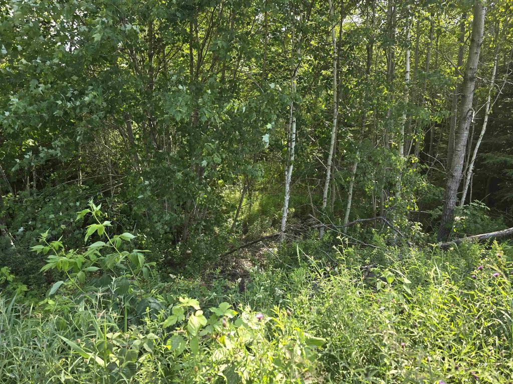 Lot 2 Highway 101, Ellershouse