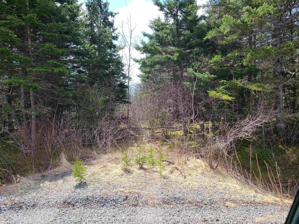 Highway 344, Manassette Lake