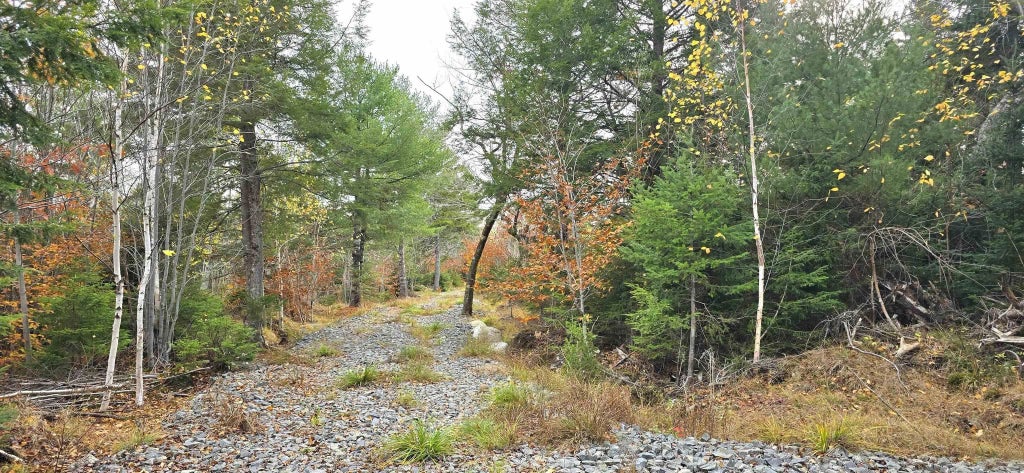 Lot 24 Russells Cove Road, Parkdale