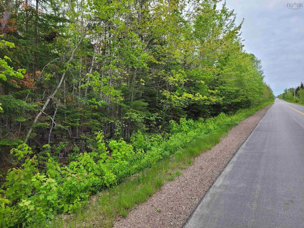 Tattrie Settlement Road, French River