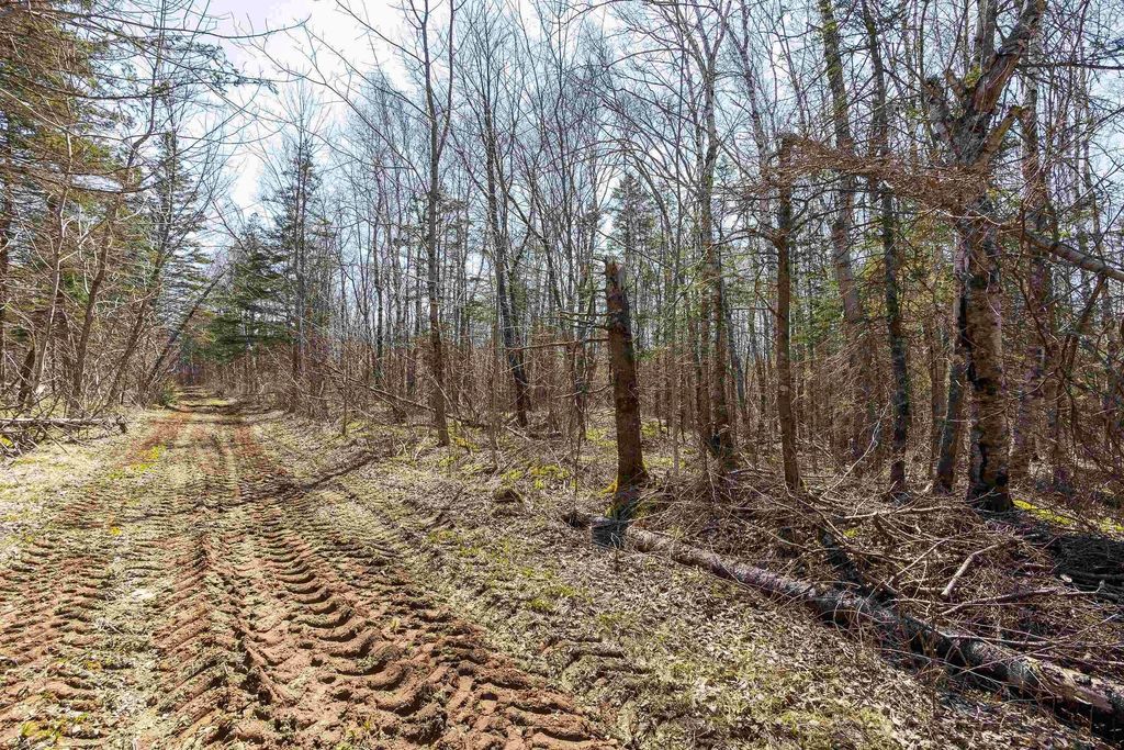 Lot 2 Seaman Street, East Margaretsville