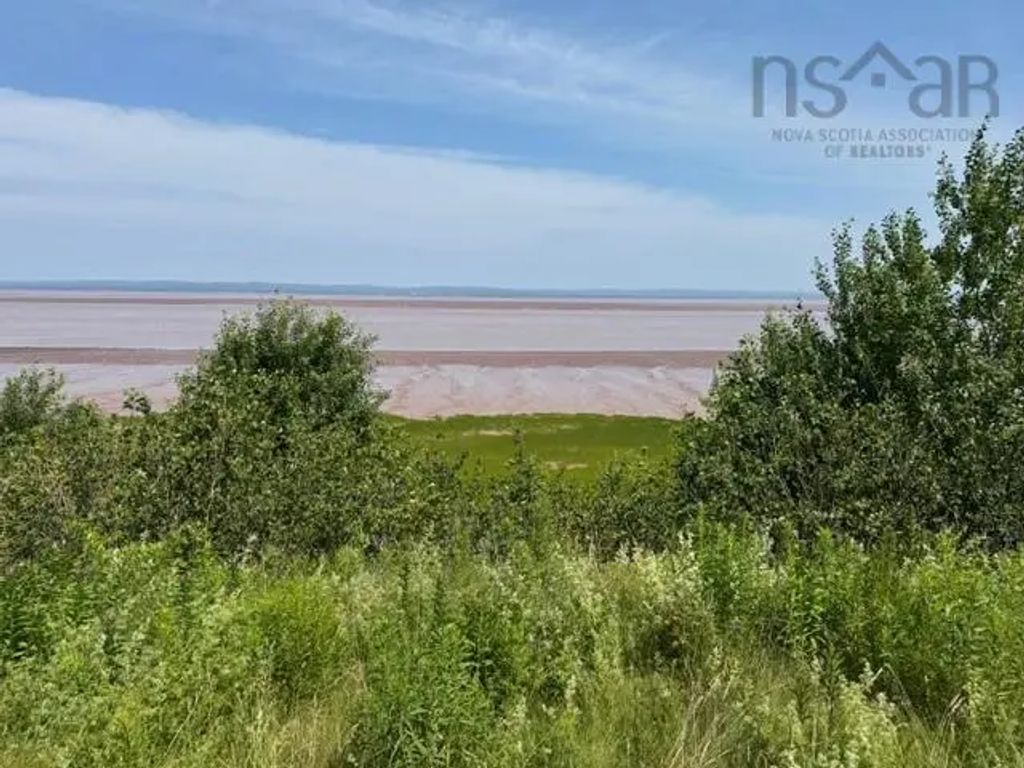 Highway 215, Lower Selma