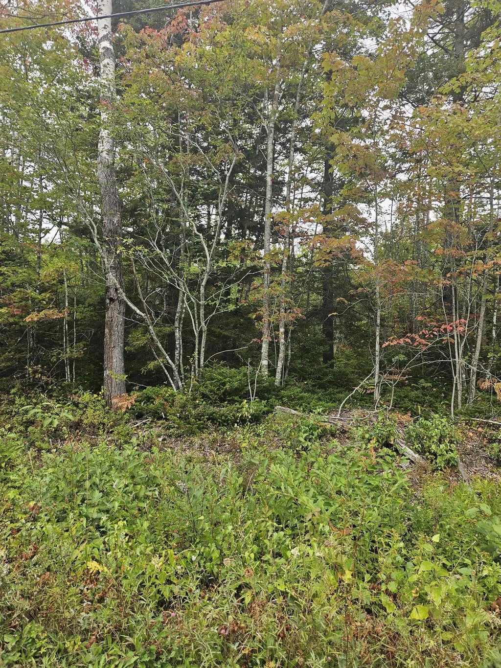 211 Bennie Muckle Road Bramber, Bramber