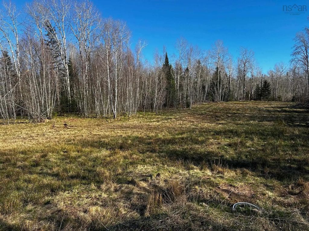 Highway 236, Scotch Village