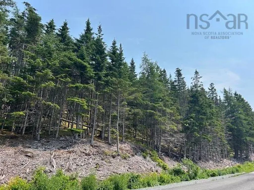 Soldiers Cove Road, Lewis Cove Road