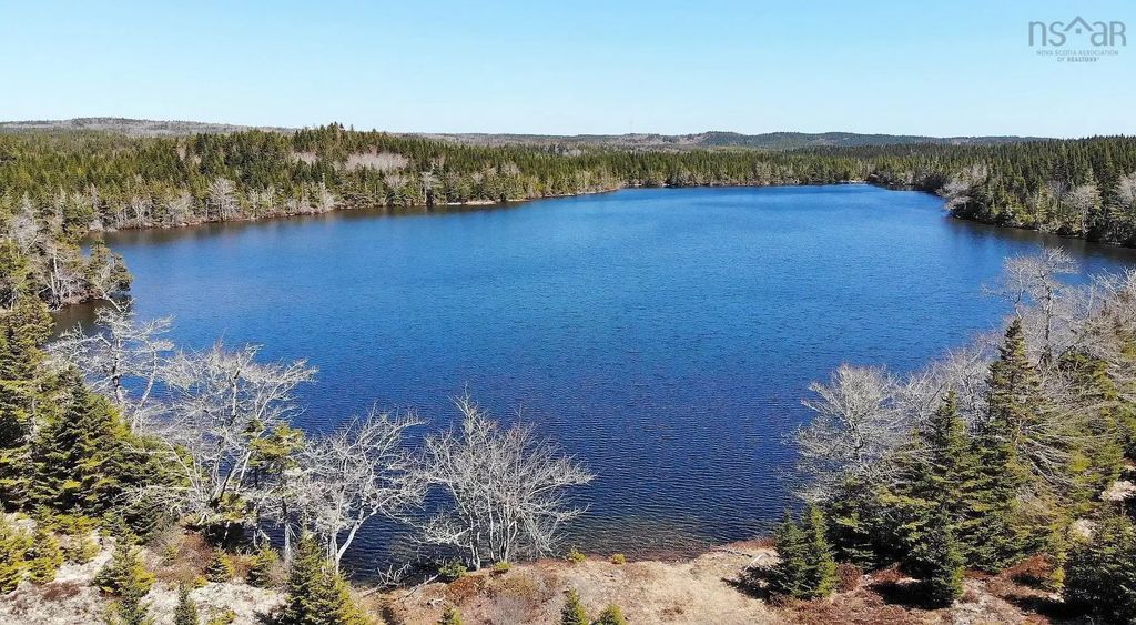 169.5 Acres Tompkinsville Road, Tompkinsville