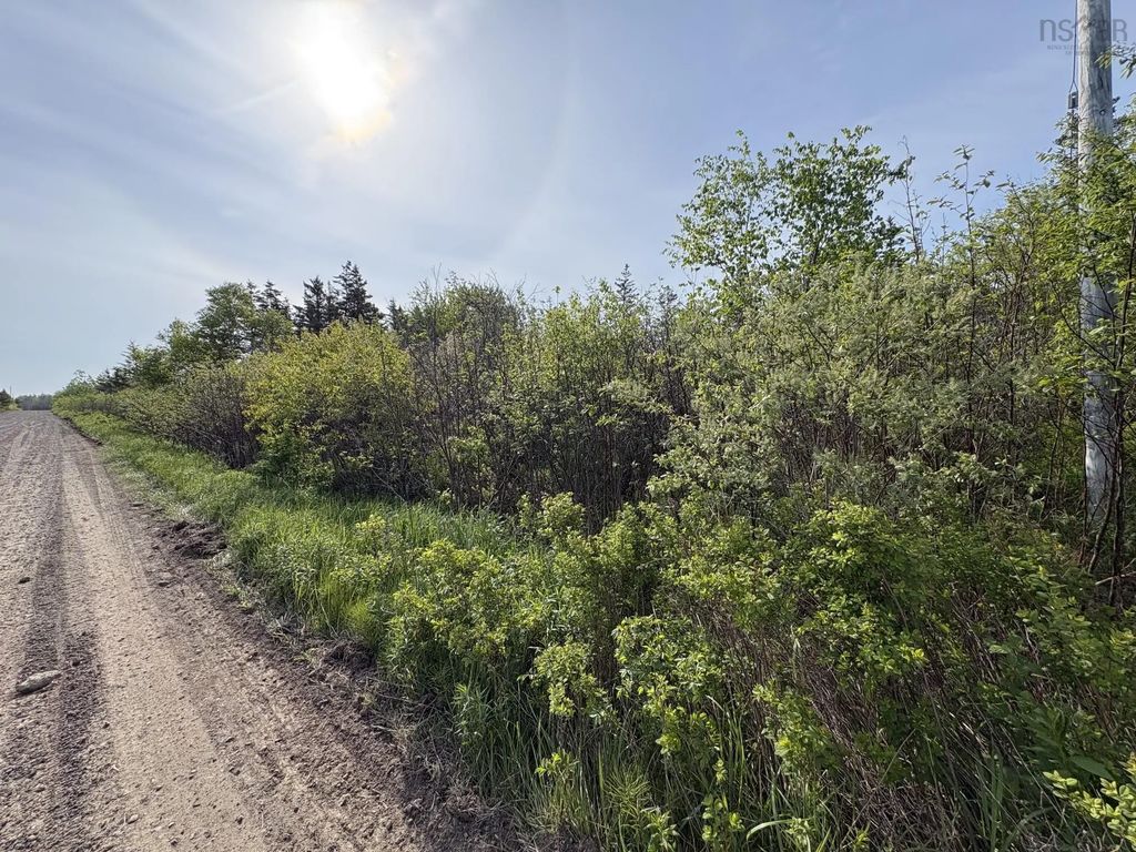 Lot 2 Shore Road, Ogilvie
