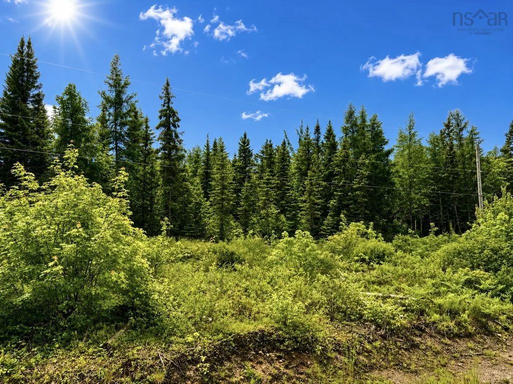 Big Farm Road, Baddeck Area
