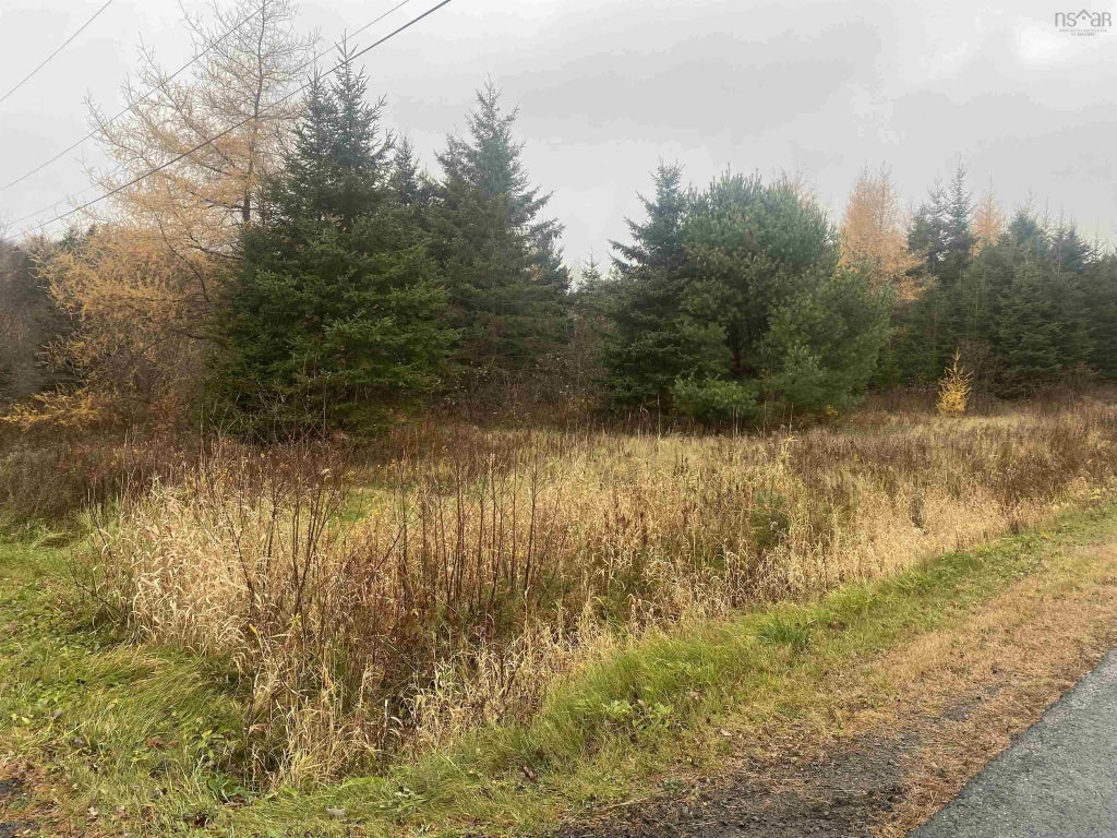 Lot 5 New Cheverie Road, Lower Burlington