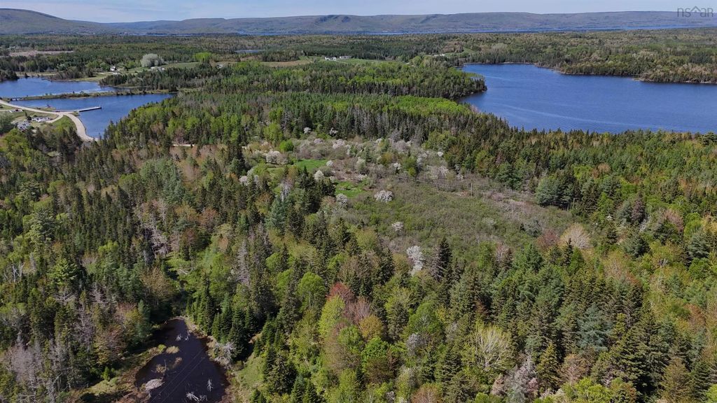 124 Stoney Point Rd, Orangedale