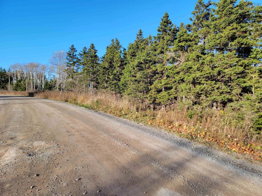 Bona Road, Lower L'Ardoise