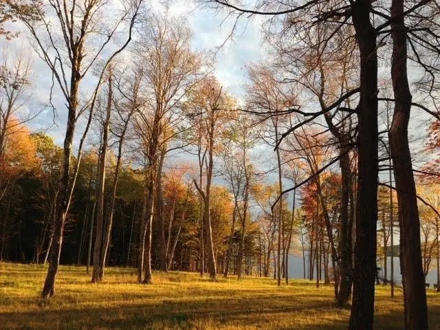 97-2 Fh Arrowhead Drive, Enfield