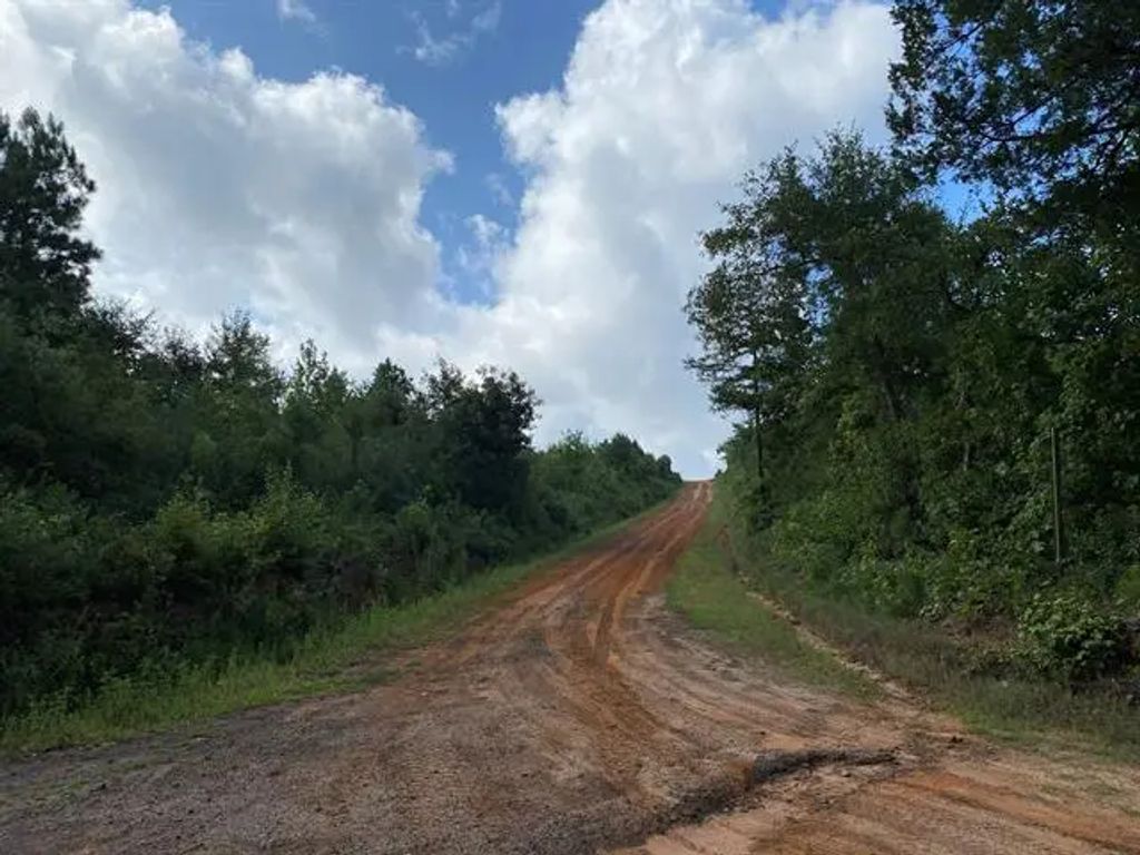 Tbd County Road 394, Tatum