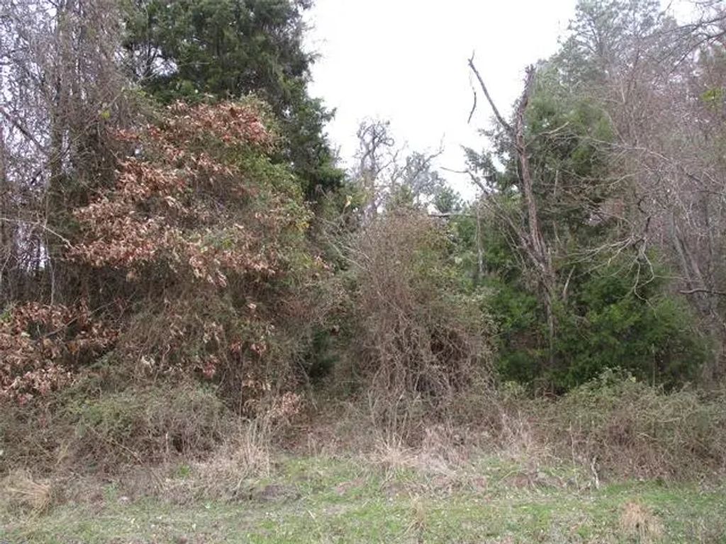 Tbd Rains County Road 3040, Emory
