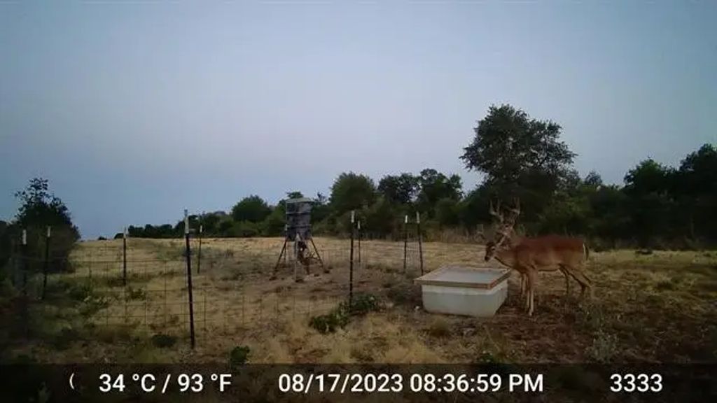 11653 Fm 1226 Parcel C, Hawley