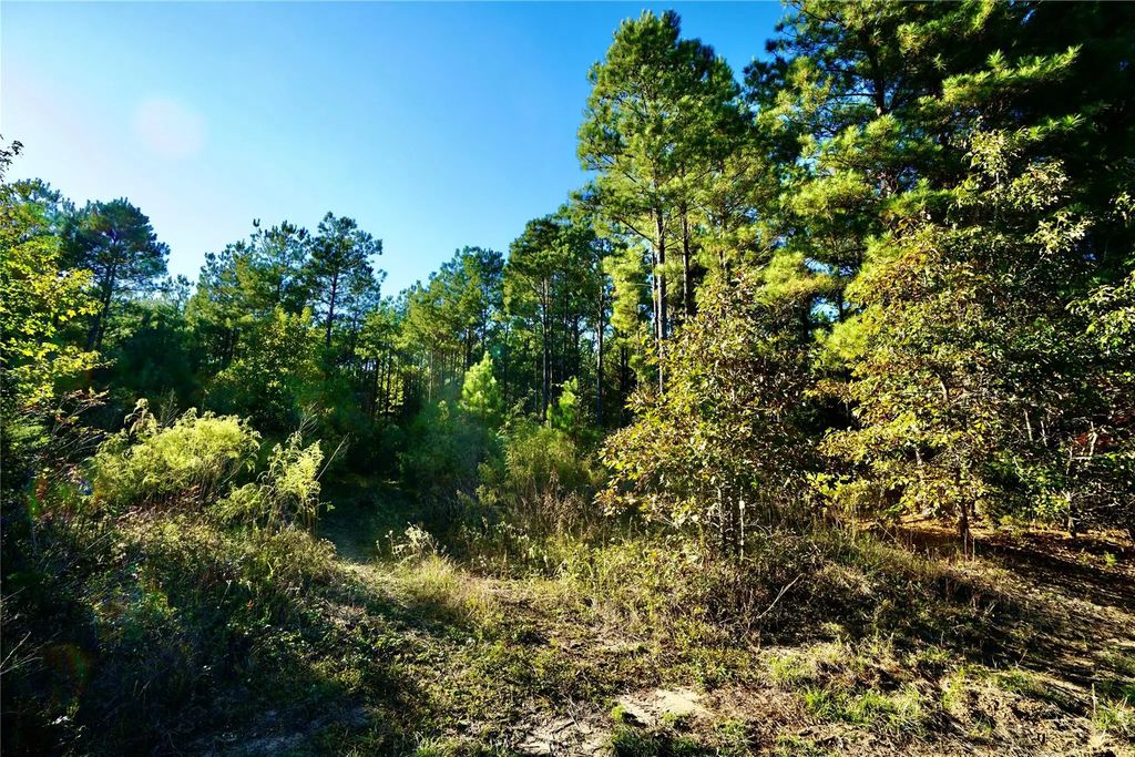 Denmons Road, Plain Dealing
