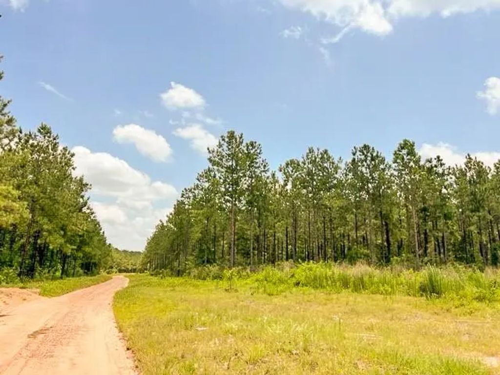 County Road 1325, Woodville