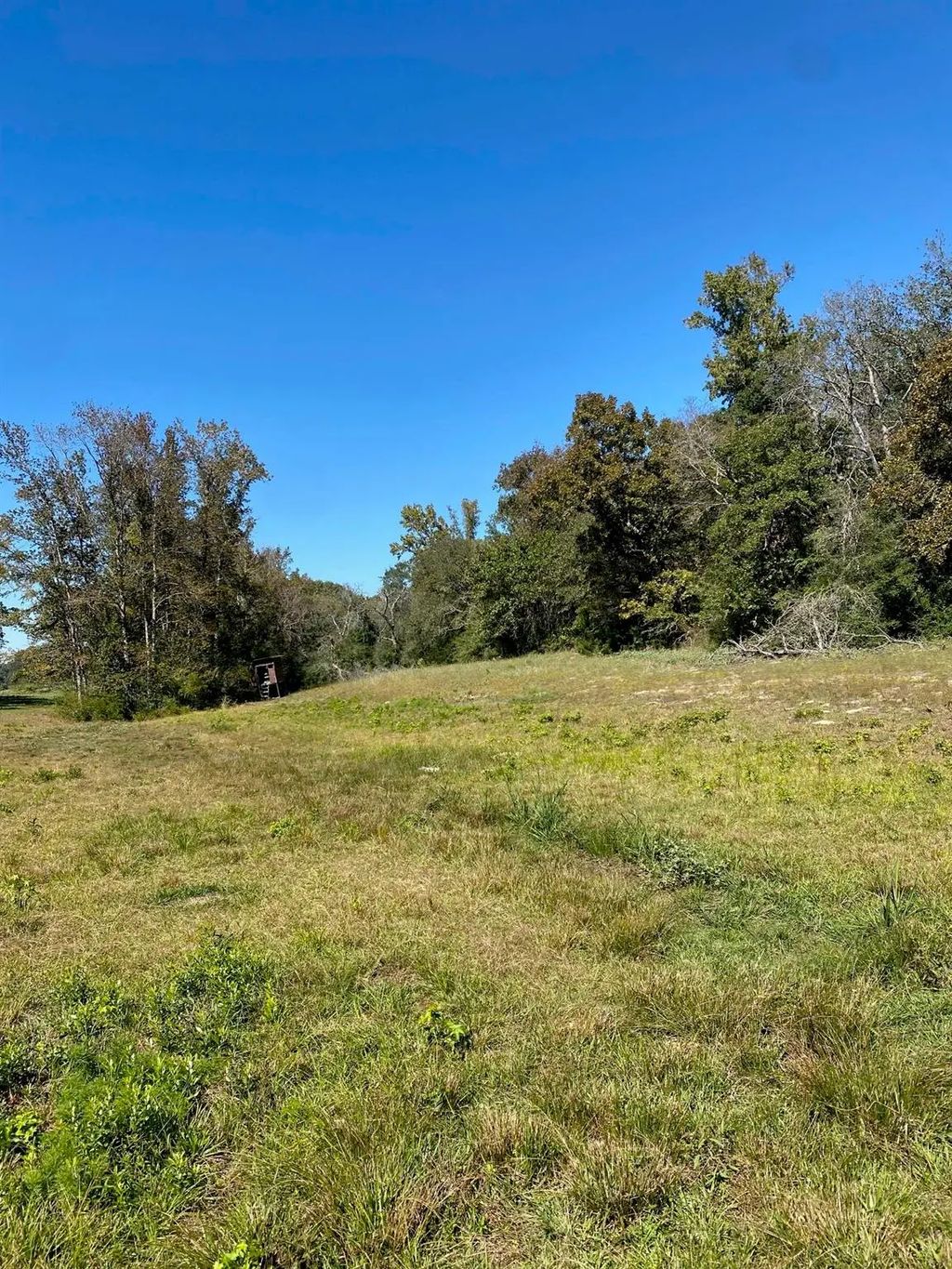 Tbd 008 County Rd 242, Oakwood