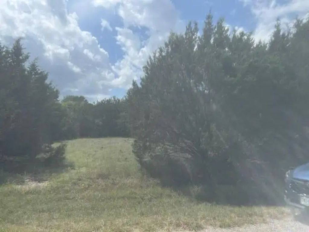 14048 Sandy Oaks Drive, Whitney