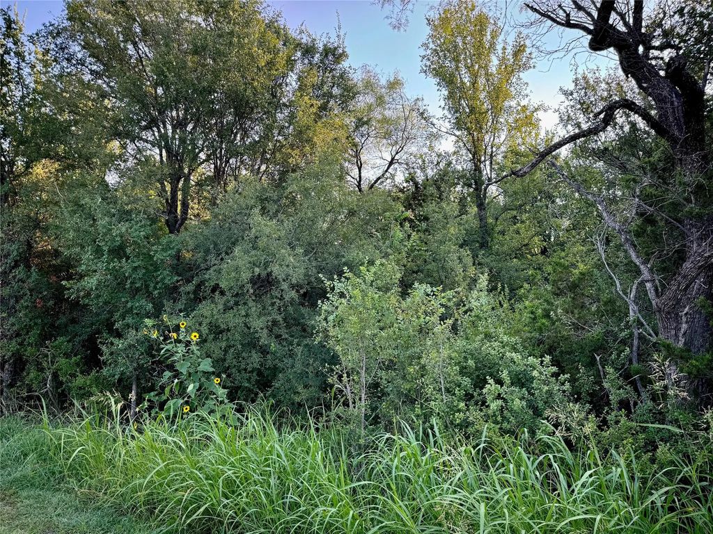 Tbd County Road 1117, Cleburne