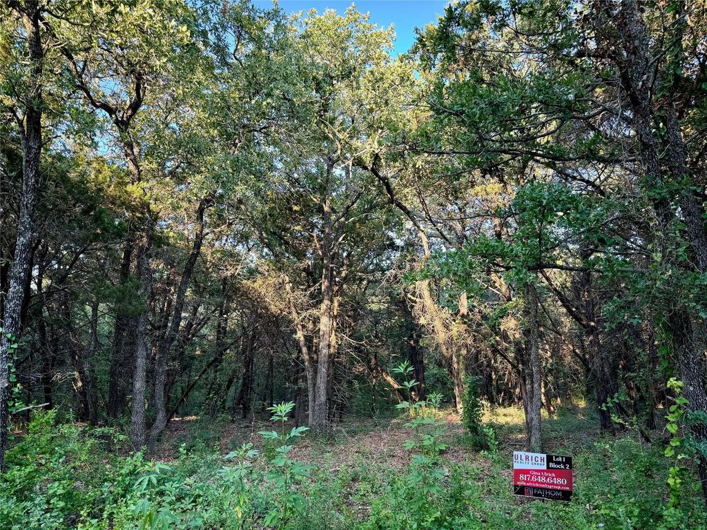 10500 County Road 1117, Cleburne