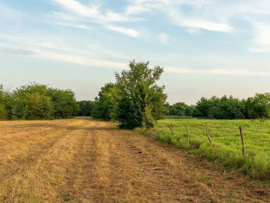 Tbd County Road 3660 County Road 3660, Ladonia