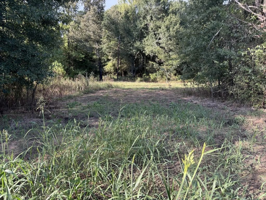 Cr 2362, Bagwell