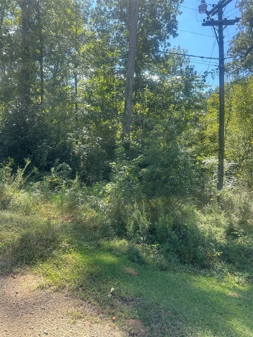 Lot 4 Dale, Jonesboro
