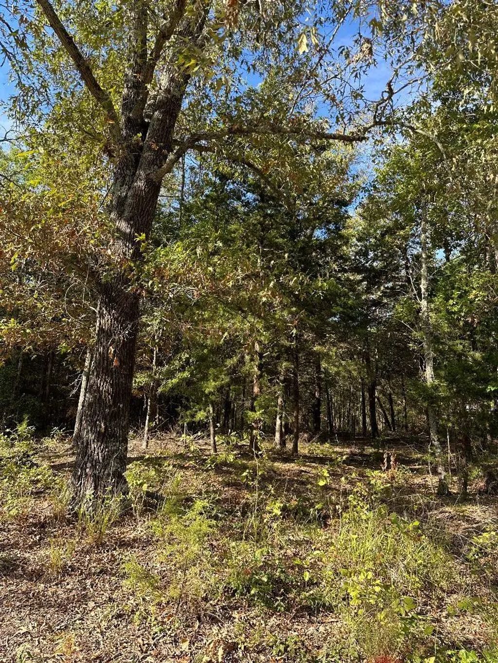 234 Private Road 34615, Sumner