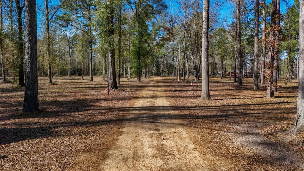 Tbd (lot 4) County Road 3545, Joaquin