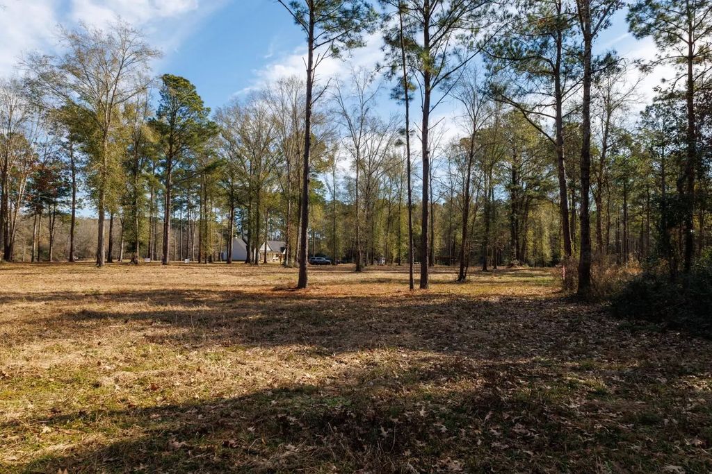 Tbd (lot 5) County Road 3545, Joaquin
