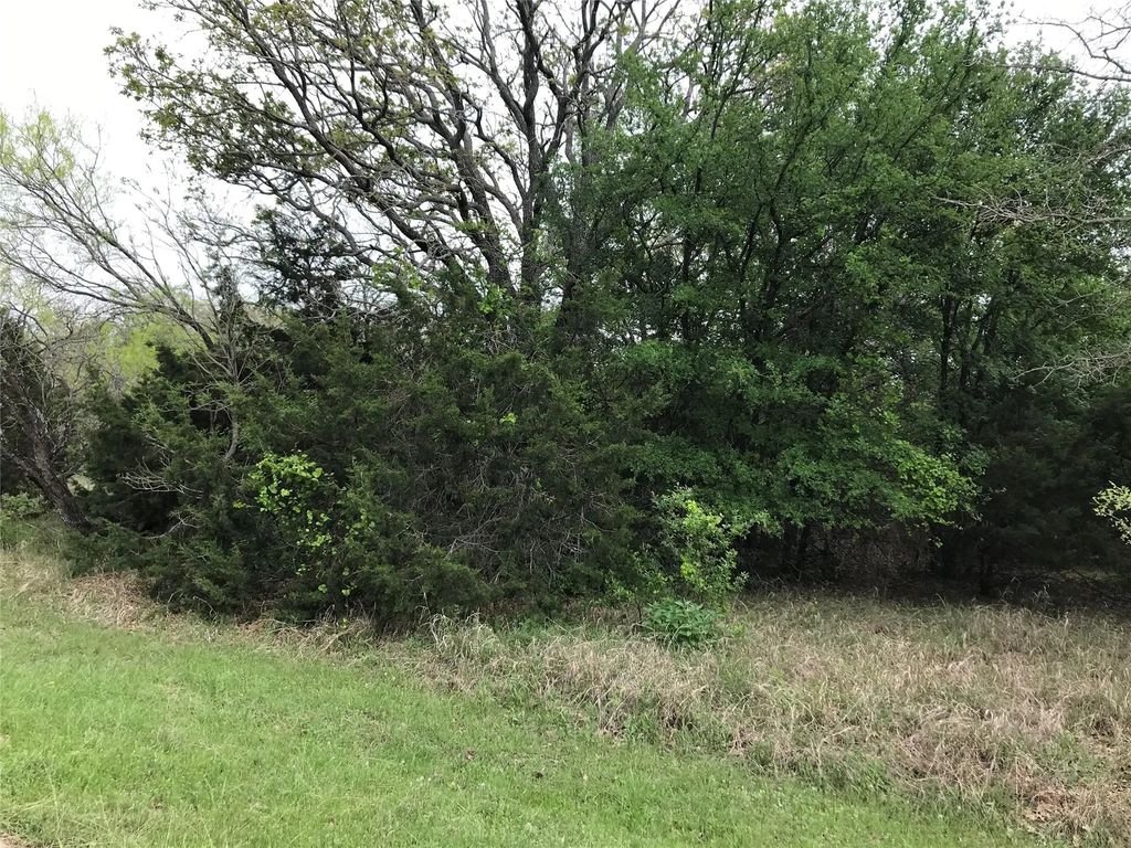 31037 Doe Run Court, Whitney