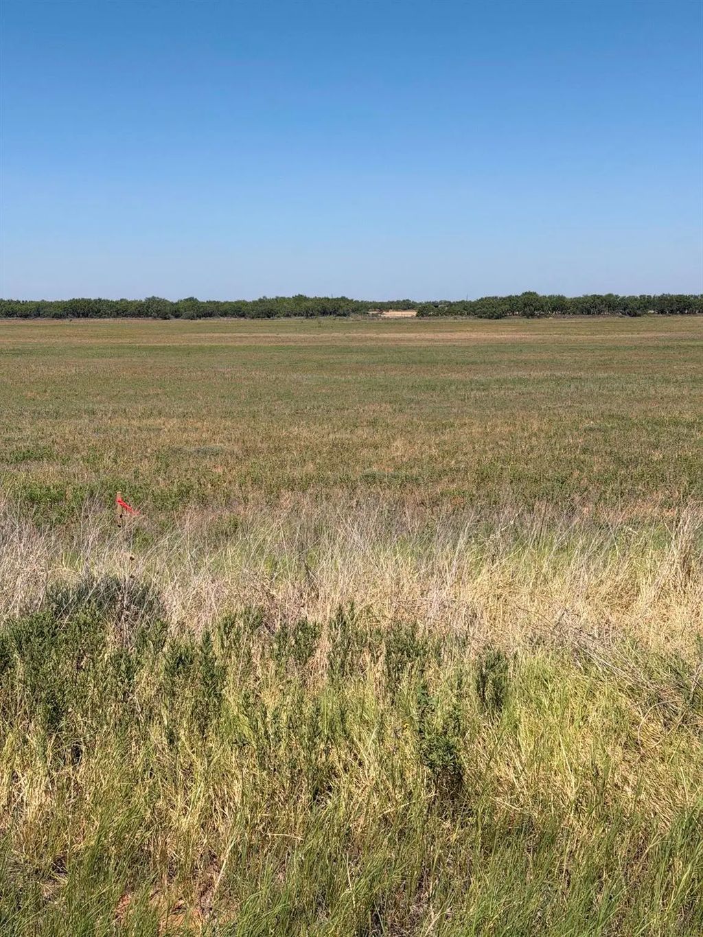 Tbd Lot 25 County Road 497, Anson
